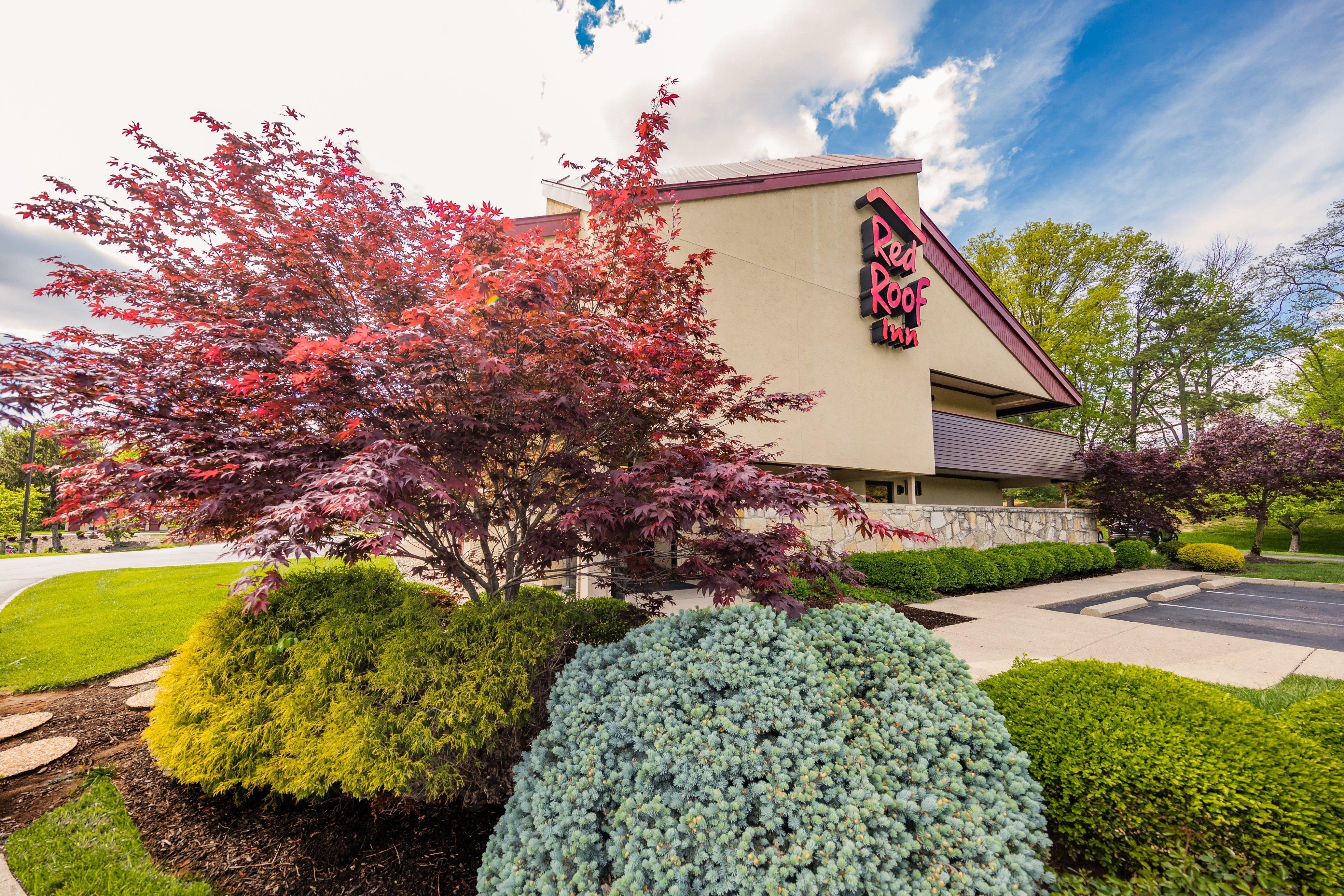 Red Roof Inn Cincinnati Northeast - Blue Ash Eksteriør billede