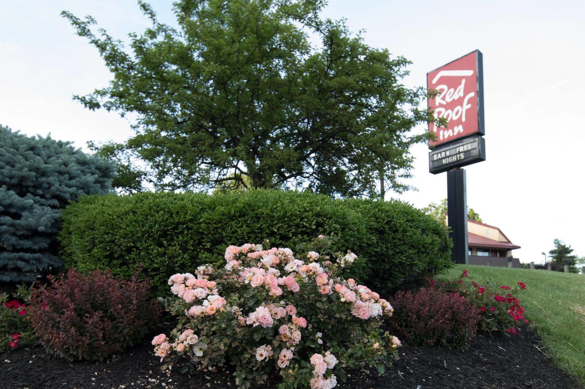 Red Roof Inn Cincinnati Northeast - Blue Ash Eksteriør billede